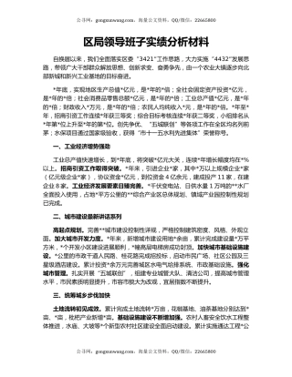 区局领导班子实绩分析材料