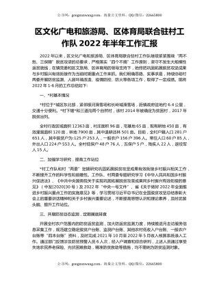 区文化广电和旅游局、区体育局联合驻村工作队2022年半年工作汇报