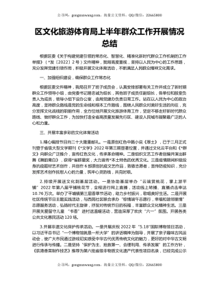 区文化旅游体育局上半年群众工作开展情况总结