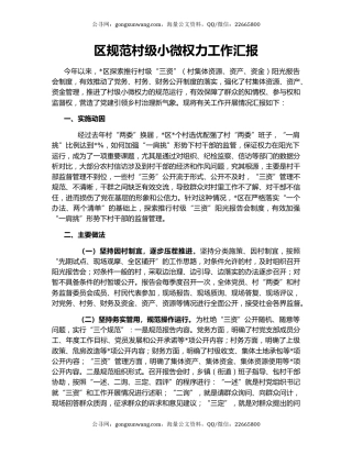 区规范村级小微权力工作汇报