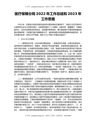 医疗保障分局2022年工作总结和2023年工作思路