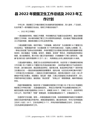 县2022年爱国卫生工作总结及2023年工作计划