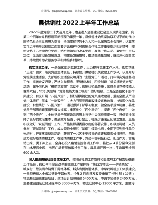 县供销社2022上半年工作总结