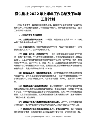 县供销社2022年上半年工作总结及下半年工作计划