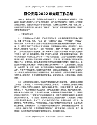 县公安局2022年党建工作总结