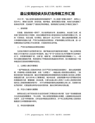 县公安局经侦大队打击传销工作汇报