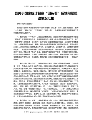 县关于国家统计督察“回头看”反馈问题整改情况汇报