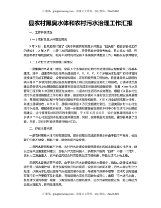 县农村黑臭水体和农村污水治理工作汇报