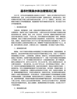 县农村黑臭水体治理情况汇报