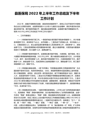 县医保局2022年上半年工作总结及下半年工作计划
