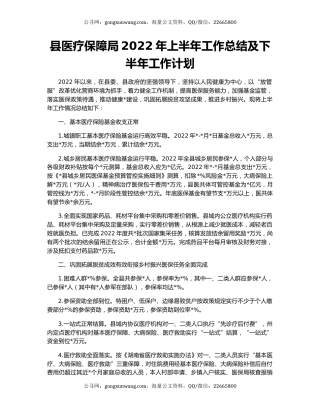 县医疗保障局2022年上半年工作总结及下半年工作计划