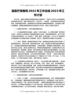 县医疗保障局2022年工作总结2023年工作计划