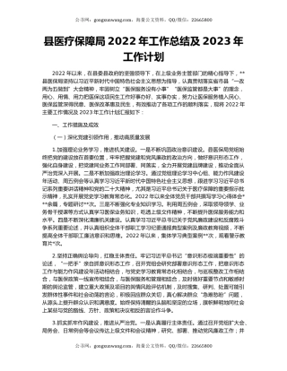 县医疗保障局2022年工作总结及2023年工作计划（2）