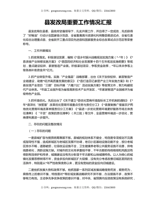 县发改局重要工作情况汇报