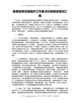 县商务局党组组织工作重点任务推进情况汇报