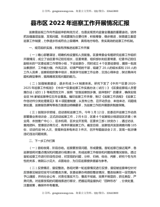 县市区2022年巡察工作开展情况汇报