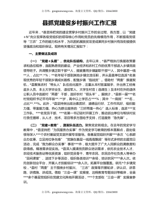 县抓党建促乡村振兴工作汇报
