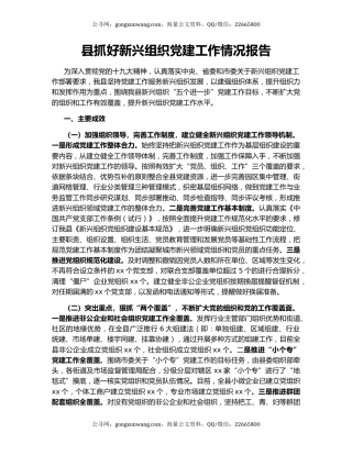 县抓好新兴组织党建工作情况报告