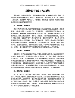 县挂职干部工作总结