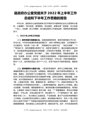 县政府办公室党组关于2022年上半年工作总结和下半年工作思路的报告