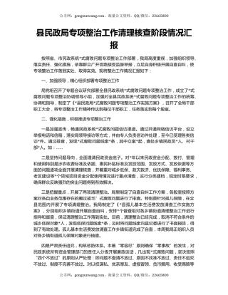 县民政局专项整治工作清理核查阶段情况汇报