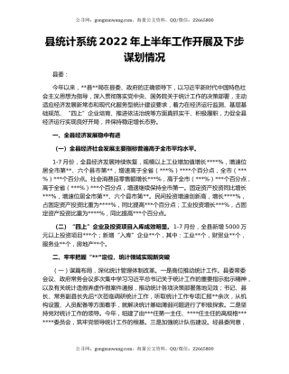 县统计系统2022年上半年工作开展及下步谋划情况
