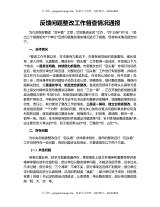 反馈问题整改工作督查情况通报