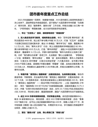 团市委年度重点工作总结