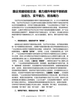 国企党建经验交流：着力提升年轻干部的政治定力、实干能力、担当魄力