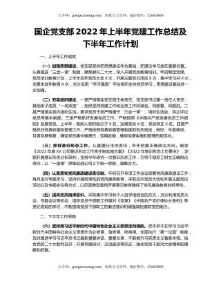 国企党支部2022年上半年党建工作总结及下半年工作计划