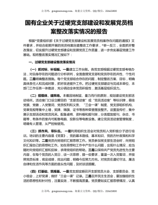 国有企业关于过硬党支部建设和发展党员档案整改落实情况的报告