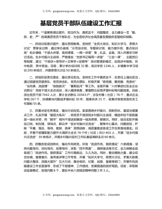 基层党员干部队伍建设工作汇报