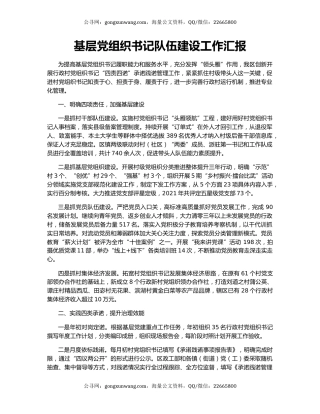 基层党组织书记队伍建设工作汇报