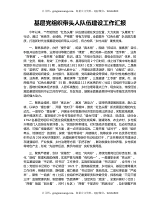 基层党组织带头人队伍建设工作汇报