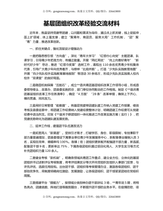基层团组织改革经验交流材料