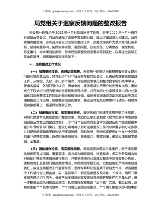 局党组关于巡察反馈问题的整改报告