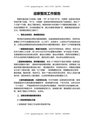 巡察整改工作报告