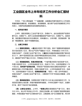 工业园区全市上半年经济工作分析会汇报材料