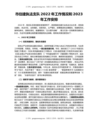 市住建执法支队2022年工作情况和2023年工作安排