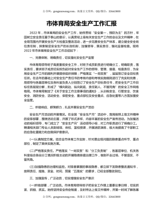 市体育局安全生产工作汇报