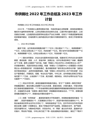 市供销社2022年工作总结及2023年工作计划