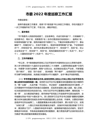 市委2022年度巡察工作汇报