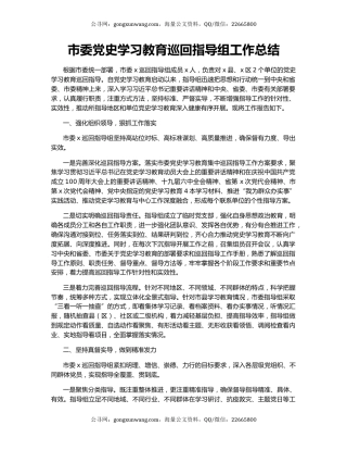 市委党史学习教育巡回指导组工作总结