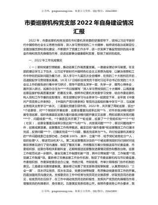 市委巡察机构党支部2022年自身建设情况汇报