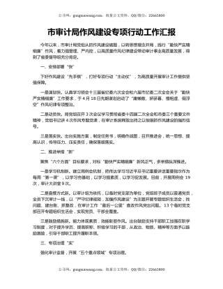 市审计局作风建设专项行动工作汇报
