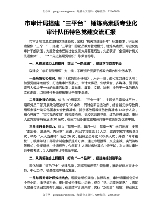 市审计局搭建“三平台” 锤炼高素质专业化审计队伍特色党建交流汇报
