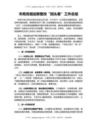 市局党组巡察整改“回头看”工作总结