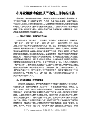 市局党组推动全面从严治党工作情况报告
