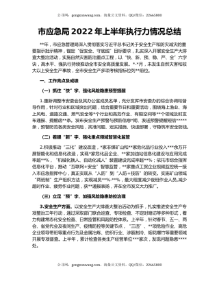 市应急局2022年上半年执行力情况总结