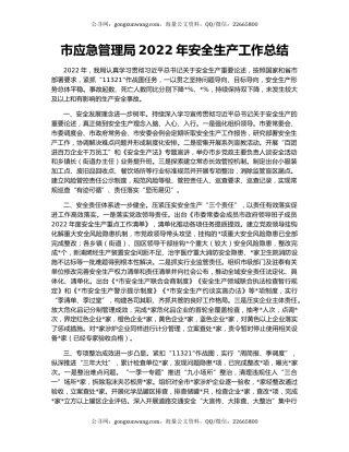 市应急管理局2022年安全生产工作总结